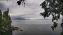 ./images/koeye/fitz-hugh/20260810/fitz-hugh20260810_132501M.jpg