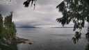./images/koeye/fitz-hugh/20260810/fitz-hugh20260810_133001M.jpg