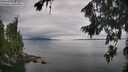 ./images/koeye/fitz-hugh/20260810/fitz-hugh20260810_133501M.jpg