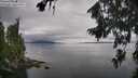 ./images/koeye/fitz-hugh/20260810/fitz-hugh20260810_134001M.jpg