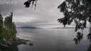 ./images/koeye/fitz-hugh/20260810/fitz-hugh20260810_134501M.jpg