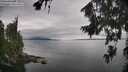 ./images/koeye/fitz-hugh/20260810/fitz-hugh20260810_135501M.jpg