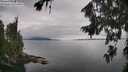 ./images/koeye/fitz-hugh/20260810/fitz-hugh20260810_140002M.jpg