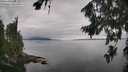 ./images/koeye/fitz-hugh/20260810/fitz-hugh20260810_140501M.jpg