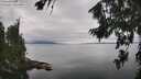 ./images/koeye/fitz-hugh/20260810/fitz-hugh20260810_141001M.jpg