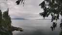 ./images/koeye/fitz-hugh/20260810/fitz-hugh20260810_141501M.jpg