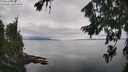./images/koeye/fitz-hugh/20260810/fitz-hugh20260810_142001M.jpg