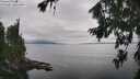 ./images/koeye/fitz-hugh/20260810/fitz-hugh20260810_142501M.jpg