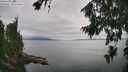 ./images/koeye/fitz-hugh/20260810/fitz-hugh20260810_143001M.jpg