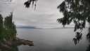 ./images/koeye/fitz-hugh/20260810/fitz-hugh20260810_143501M.jpg