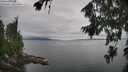 ./images/koeye/fitz-hugh/20260810/fitz-hugh20260810_144002M.jpg