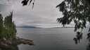 ./images/koeye/fitz-hugh/20260810/fitz-hugh20260810_144501M.jpg