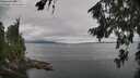 ./images/koeye/fitz-hugh/20260810/fitz-hugh20260810_145002M.jpg