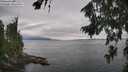 ./images/koeye/fitz-hugh/20260810/fitz-hugh20260810_150501M.jpg