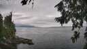 ./images/koeye/fitz-hugh/20260810/fitz-hugh20260810_151002M.jpg