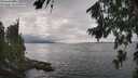 ./images/koeye/fitz-hugh/20260810/fitz-hugh20260810_152502M.jpg