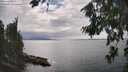 ./images/koeye/fitz-hugh/20260810/fitz-hugh20260810_155002M.jpg