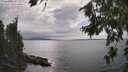 ./images/koeye/fitz-hugh/20260810/fitz-hugh20260810_160001M.jpg