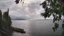 ./images/koeye/fitz-hugh/20260810/fitz-hugh20260810_160501M.jpg