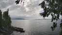 ./images/koeye/fitz-hugh/20260810/fitz-hugh20260810_161001M.jpg