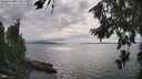 ./images/koeye/fitz-hugh/20260810/fitz-hugh20260810_163001M.jpg