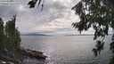 ./images/koeye/fitz-hugh/20260810/fitz-hugh20260810_163501M.jpg