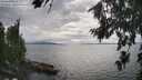 ./images/koeye/fitz-hugh/20260810/fitz-hugh20260810_164001M.jpg