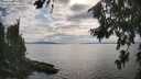 ./images/koeye/fitz-hugh/20260810/fitz-hugh20260810_172001M.jpg