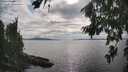 ./images/koeye/fitz-hugh/20260810/fitz-hugh20260810_172502M.jpg
