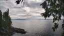 ./images/koeye/fitz-hugh/20260810/fitz-hugh20260810_173002M.jpg