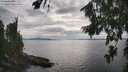 ./images/koeye/fitz-hugh/20260810/fitz-hugh20260810_173501M.jpg