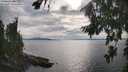 ./images/koeye/fitz-hugh/20260810/fitz-hugh20260810_174001M.jpg
