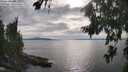 ./images/koeye/fitz-hugh/20260810/fitz-hugh20260810_174501M.jpg