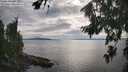 ./images/koeye/fitz-hugh/20260810/fitz-hugh20260810_175001M.jpg