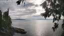 ./images/koeye/fitz-hugh/20260810/fitz-hugh20260810_175501M.jpg