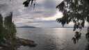 ./images/koeye/fitz-hugh/20260810/fitz-hugh20260810_181001M.jpg