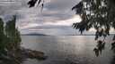 ./images/koeye/fitz-hugh/20260810/fitz-hugh20260810_181501M.jpg