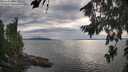 ./images/koeye/fitz-hugh/20260810/fitz-hugh20260810_182002M.jpg