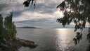 ./images/koeye/fitz-hugh/20260810/fitz-hugh20260810_183001M.jpg