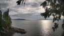 ./images/koeye/fitz-hugh/20260810/fitz-hugh20260810_183501M.jpg