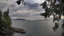 ./images/koeye/fitz-hugh/20260810/fitz-hugh20260810_185001M.jpg