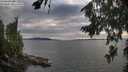./images/koeye/fitz-hugh/20260810/fitz-hugh20260810_185501M.jpg