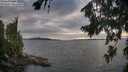 ./images/koeye/fitz-hugh/20260810/fitz-hugh20260810_191002M.jpg