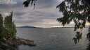./images/koeye/fitz-hugh/20260810/fitz-hugh20260810_191502M.jpg