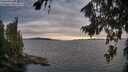 ./images/koeye/fitz-hugh/20260810/fitz-hugh20260810_195501M.jpg