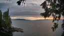 ./images/koeye/fitz-hugh/20260810/fitz-hugh20260810_203001M.jpg