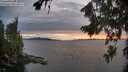 ./images/koeye/fitz-hugh/20260810/fitz-hugh20260810_203501M.jpg