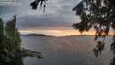 ./images/koeye/fitz-hugh/20260810/fitz-hugh20260810_204001M.jpg