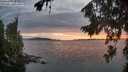 ./images/koeye/fitz-hugh/20260810/fitz-hugh20260810_205001M.jpg
