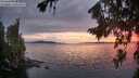 ./images/koeye/fitz-hugh/20260810/fitz-hugh20260810_211001M.jpg